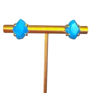 Rare Prototype Kendra Scott 14K Gold 4 Prong Turquoise Hexagon Stud Earrings